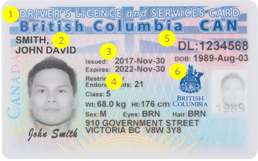 Class 4 drivers license